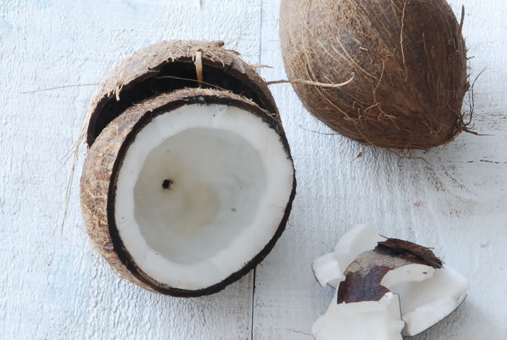 Comment cuisiner la noix de coco
